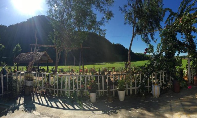 Son Trach Cabin | Phong Nha Rice Field Homestay