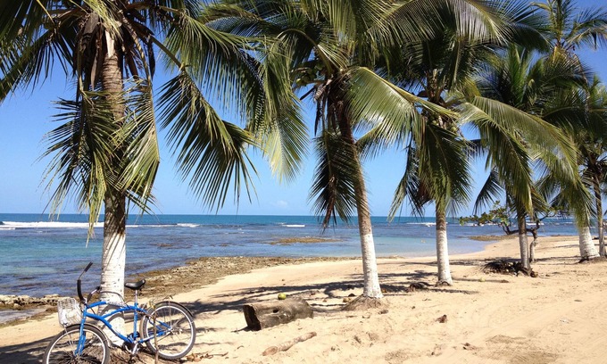 Cocles Bed & Breakfast | Physis Caribbean Bed & Breakfast