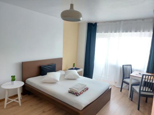 Sector 1 Apartment | Piata Victoriei Arcul de Triumf Studio Apartment