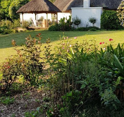 Lions River House | Piccadilly Farm Cottages