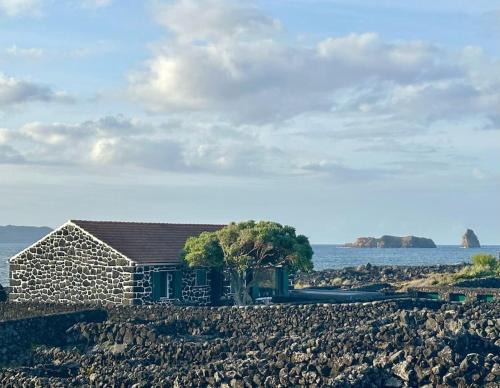 Madalena Villa | Pico Island Villas 2 - Ocean Front & UNESCO Heritage Century-Old Grapevines