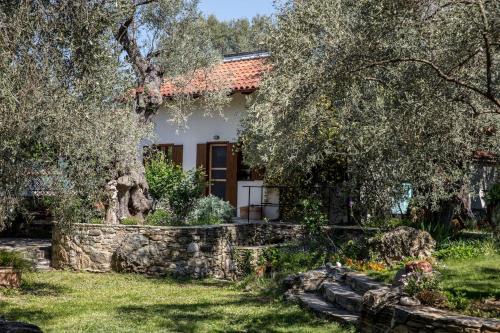 Kali Vrysi House | Piges