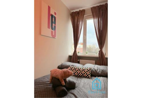 Jelitkowo House | Piggy Room - 3 km to Baltic Sea