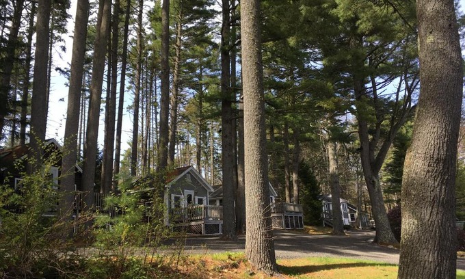 Lincolnville Resort | Pine Grove Cottages