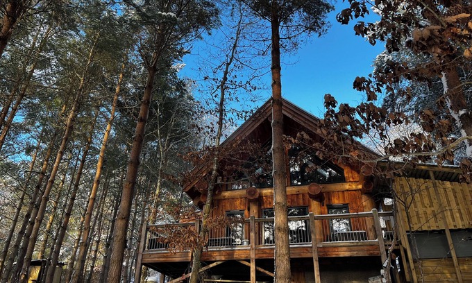 Grantown-on-Spey Cottage | PINE MARTEN LODGE, pet friendly, with hot tub in Nethy Bridge