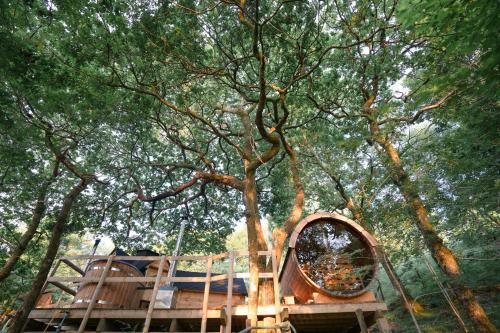 Llanelltyd Apartment | Pine Tree House with Hot tub & Sauna