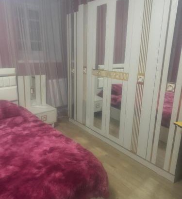 Samtskhe-Javakheti House | Pink