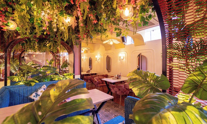 Hisar Hotel | Pink Mango A Boutique Hotel