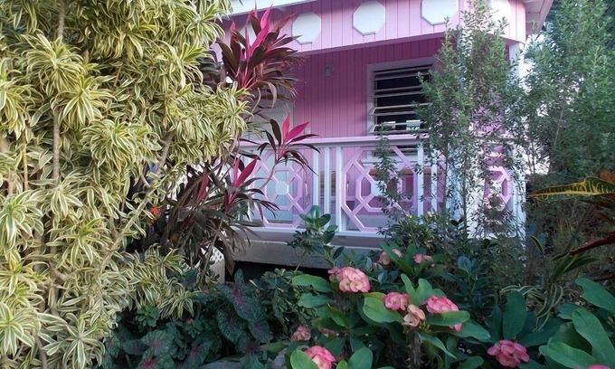 St. John's Cottage | PINKSHACK STUDIO COTTAGE IN JUNGLE THEMED PATIO GARDEN