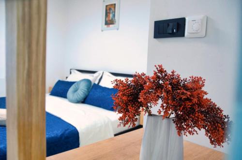 Piran House | Piranum Guesthouse