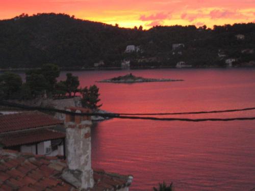 Skiathos Apartment | Plakes Suites