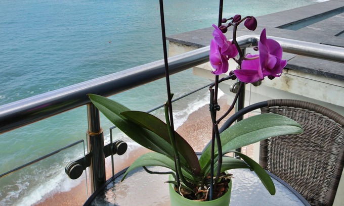 Budva Municipality Apartment | Plava Villa A1 3bedroom apartment with sea view