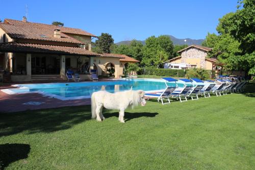 San Giuliano Terme Bed & Breakfast | Podere San Paolo