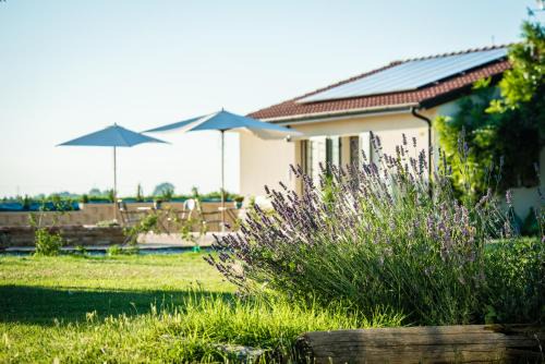 Imola House | Podere Zampiera Vecchia