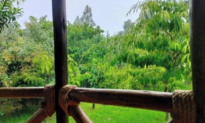 Naro Moru Cottage | Podocarpus cottages