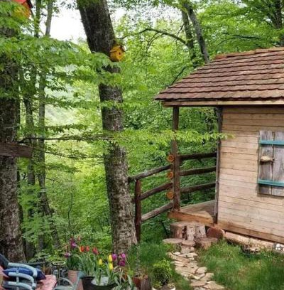 Mtskheta House | Poet's Hut in The Mountains
