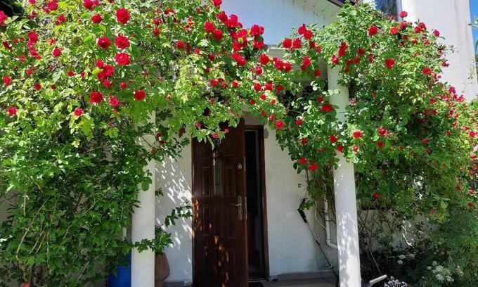 Gaski House | Pokoje przy plaży Gruszka