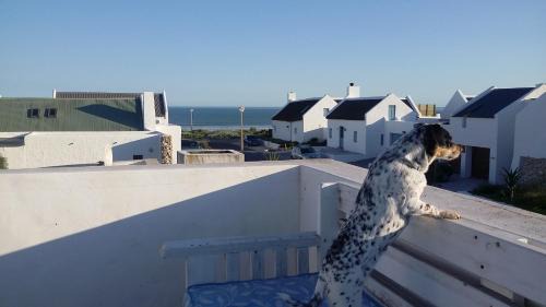 Paternoster House | Pondok