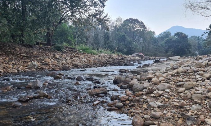 Ponmundi House | PONMUDI DALE. HOMESTAY