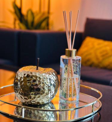 Pin - Vert Galant Apartment | Pontlieu 24h Le Mans