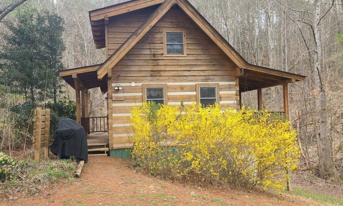 Townsend Cabin | Porch Swing, Jacuzzi Tub, Wi-Fi, Dogs ok, near NP