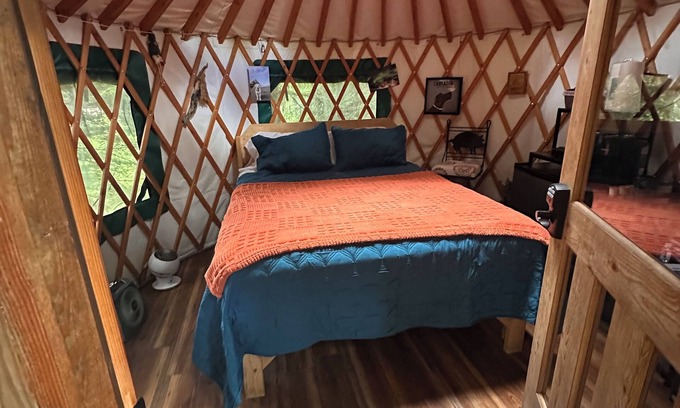Bear Creek House | Porter's Perch,nA Cozy Yurt Tucked into the Woods