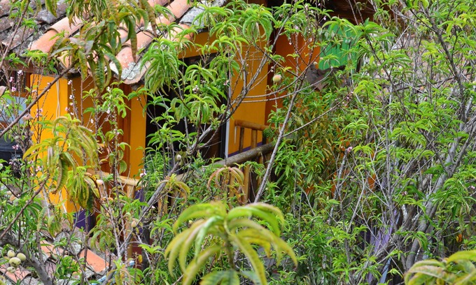 La Uvita Hotel | Posada 4 Esquinas