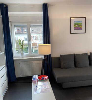 Loerrach Apartment | Preiswertes stilvolles Zimmer im privaten Haus mit großem schönem modernem Gemeinschaft Badenzimmer