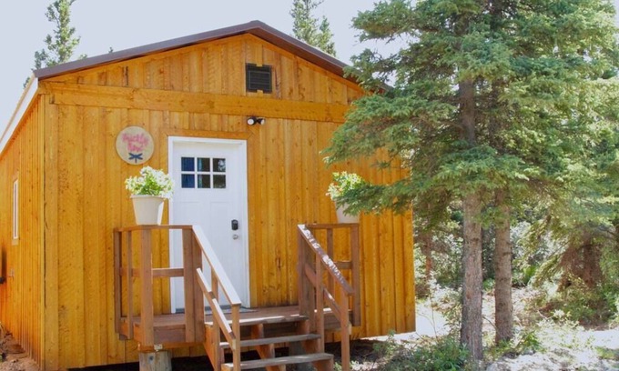 Healy Cabin | Prickly Rose Cabin-Arctic Dragonfly Inn
