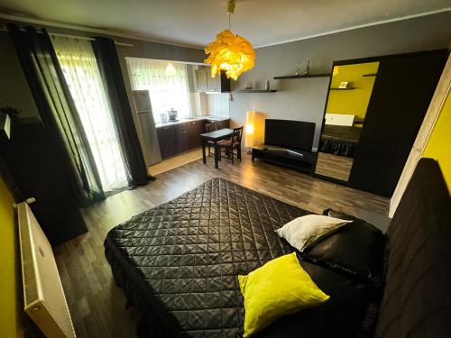 Oradea Apartment | Prima Residence Apartment