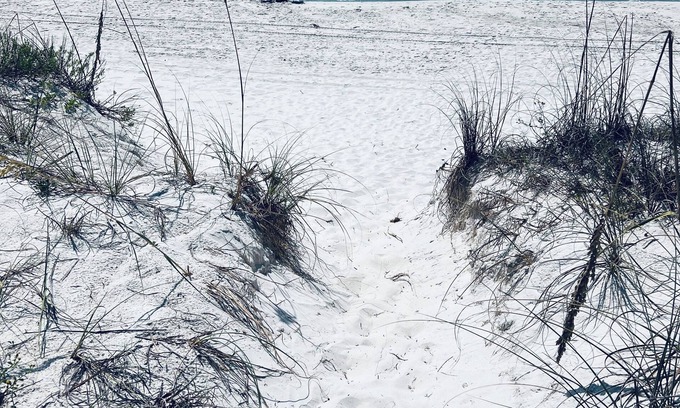 Gulf Shores House | Private Beach-Front Home -West Beach. Gulf Front! Private Beach Volleyball!