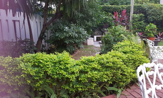 New Kingston House | Private Cosy Central