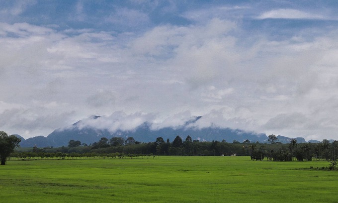 Khuan Khanun House | Private cozy family house, paddy field scenery