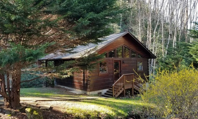Topton Cabin | Private Creekside Cabin w/Hot Tub in the Nantahala Gorge