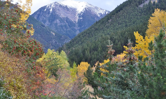 Chico Cabin | Private Creekside Retreat Near Yellowstone & Chico Hot Springs