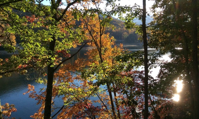 Topton Cabin | Private dock, Wifi, Lakefront, Rustic Appalachian Cabin on Nantahala Lake!