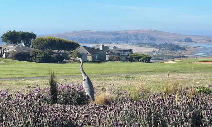 Bodega Bay House | Private-Full Views-14th Fairway-4.5Bedrooms-3 Baths-2900 sqft-Pool Table-Hot Tub