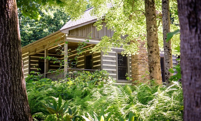 Laurel Fork Cabin | Private, On 53 Acres, Blue Ridge Parkway Access