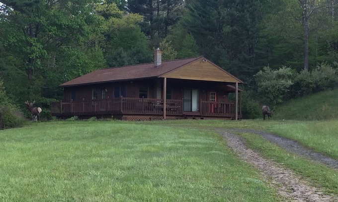 Driftwood Cabin | Private retreat in the middle of Elk country