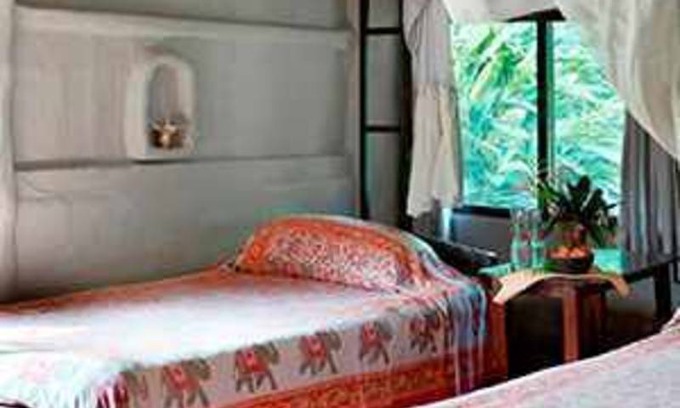 Sauraha Resort | Private room ∙ 2 guests