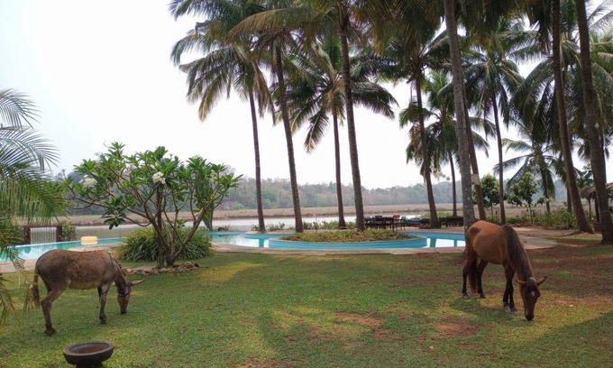 Aldona Resort | Private room ∙ 3 guests