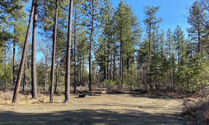 Goldendale RV Rental | Private Starlit Campsite In the Woods