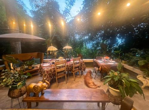 Valencia Bed & Breakfast | Private suite close to pools, hot springs, falls and more!