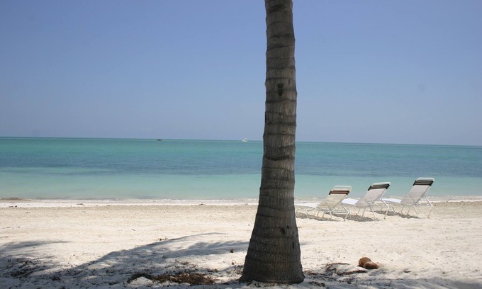 Key Colony Beach Condo | Private Tropical Beach-White Sand, Crystal Clear water! Pool WIFI It's Loaded!