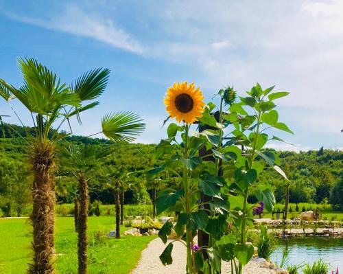 Jalzabet Apartment | Private Village Varazdin