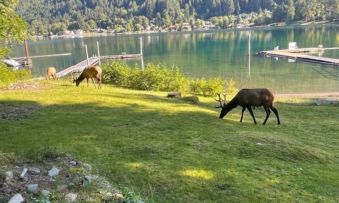 Youbou House | Private Waterfront Cabin on Lake Cowichan