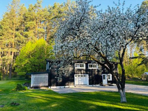 Druskininkai Apartment | Pušyno apartamentai