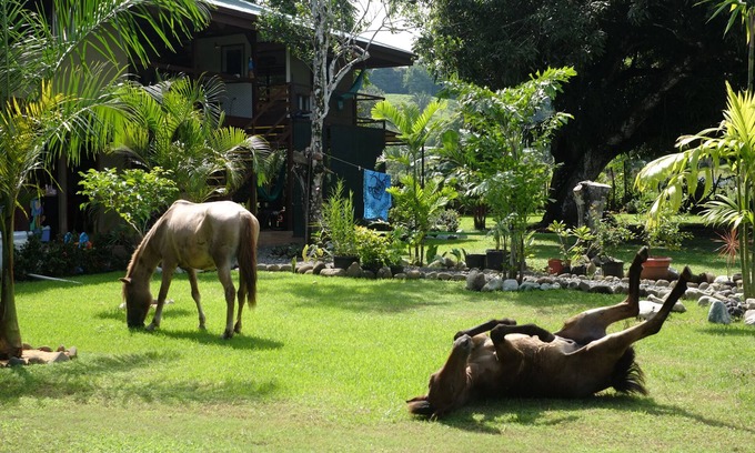 Langostino House | Puerto Pilon Pavones