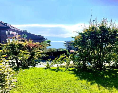 Pully Apartment | PULLY LAUSANNE sunny apartment on lakeside street and direct bus to Lausanne train station