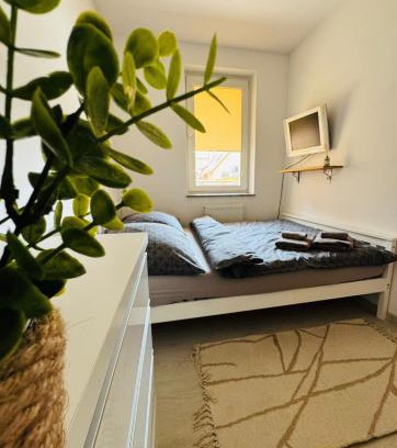 Gorzow Wielkopolski Apartment | Pulsar Apartments